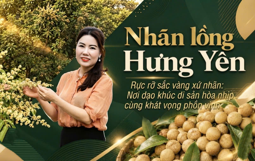 Rực rỡ sắc vàng xứ nhãn: Nơi dạo khúc di sản hòa nhịp cùng khát vọng phồn vinh